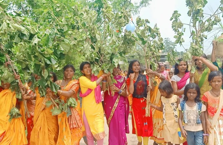 झूमर नृत्य : हर्ष व उल्लास के साथ युवतियों और महिलाओं ने मनाया करमा पर्व, खेतों में करम डाली गाड़ अच्छी उपज की कामना की