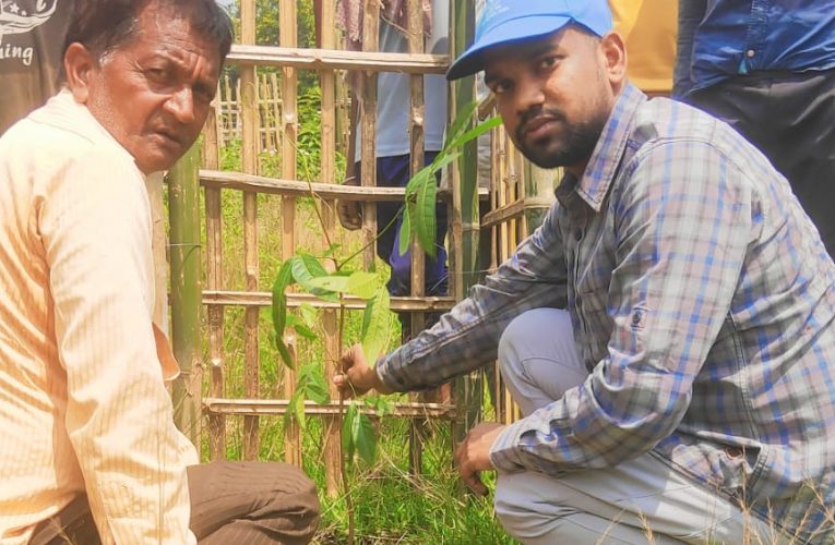 Massive Plantation : डस्ट कंट्रोल व ध्वनि प्रदूषण नियंत्रण के लिए हजारीबाग वन प्रमंडल कथारा क्षेत्र में करेगा 42 हजार वृक्षारोपण