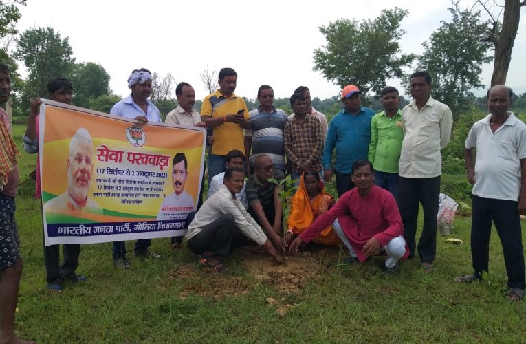 पौधरोपण : सेवा पखवाड़ा कार्यक्रम के तहत पौधरोपण कर लिया पर्यावरण संरक्षण का संकल्प 