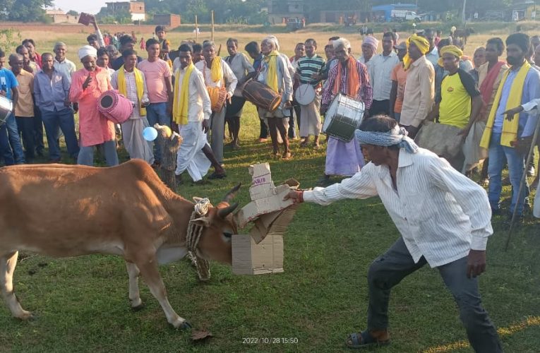 पांच दिनों से चल रहा है बुढ़ी बांधना के सोहराई पर्व सम्पन्न, अंतिम दिन मांदर व ढोल की थाप पर थिरके ग्रामीण