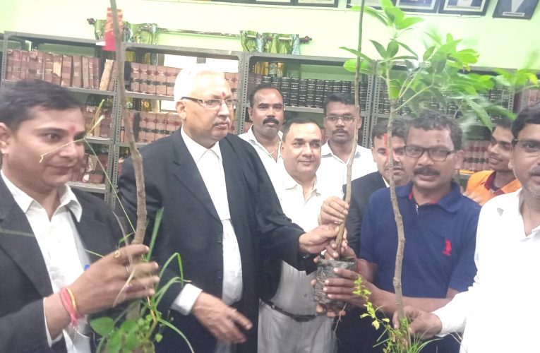 Bokaro: बोकारो जिला अधिवक्ता संघ के पूर्व अध्यक्ष ने अपने पुत्र की पुण्य स्मृति में किया पौधा वितरण