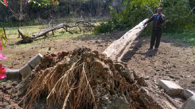 Earthquake News: दिल्ली-एनसीआर के बाद बिहार में भी भूकंप के झटके, बिहार में आए भूकंप की तीव्रता रिक्टर स्केल पर 4.0 मापी गई